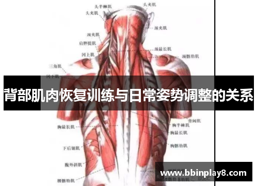 背部肌肉恢复训练与日常姿势调整的关系